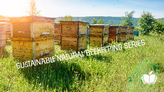 beekeeping boxes in a field.