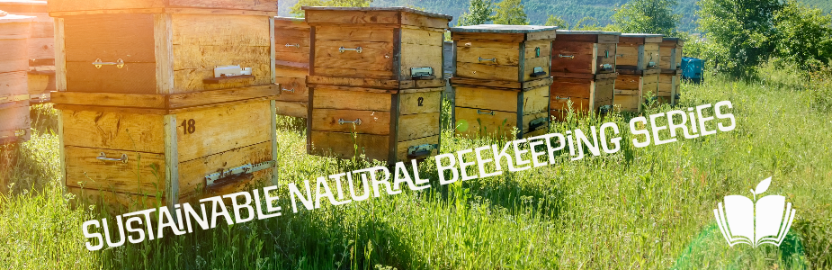 beekeeping boxes